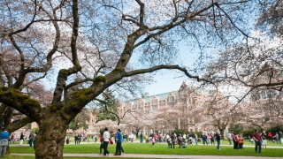 IB入試で受験できる国内大学ランキング